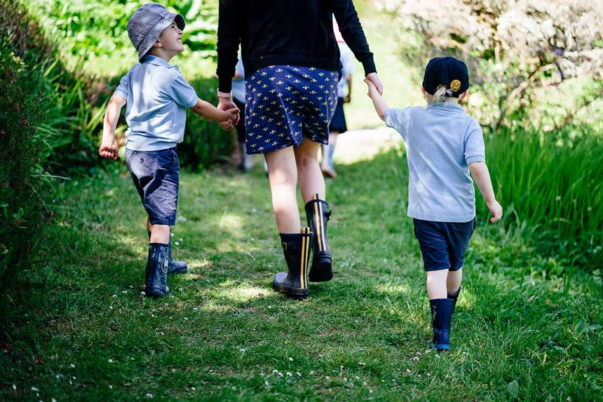 Forest walks