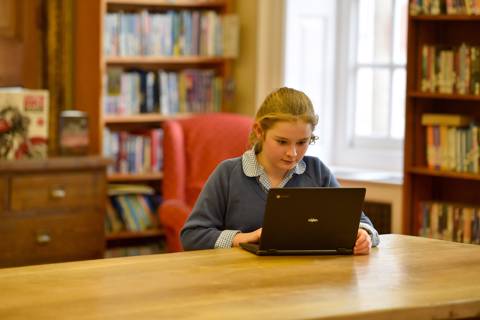 Studying in the Library