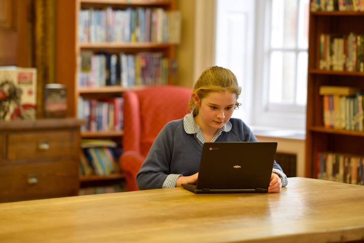 Studying in the Library