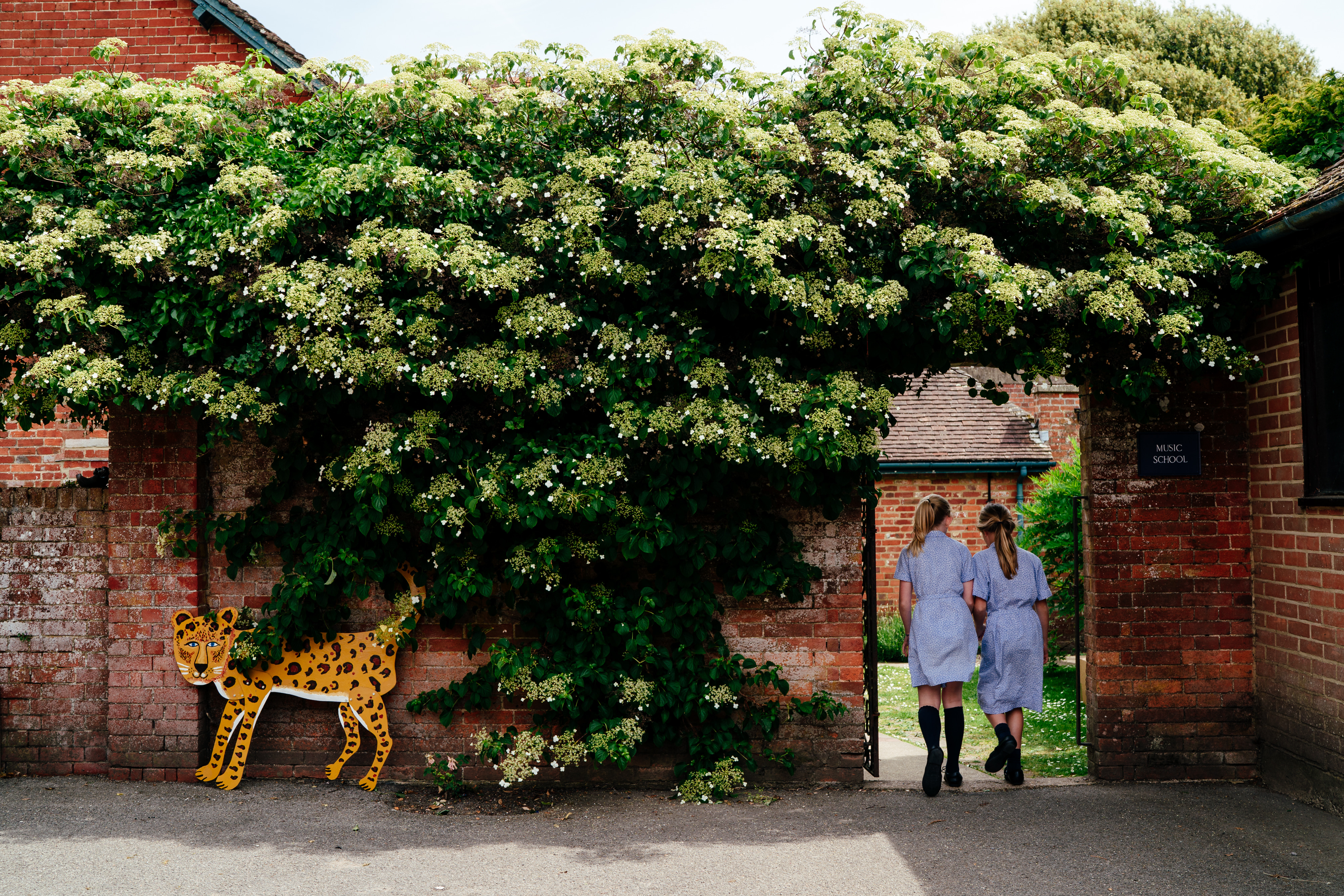 Wallhampton School 236