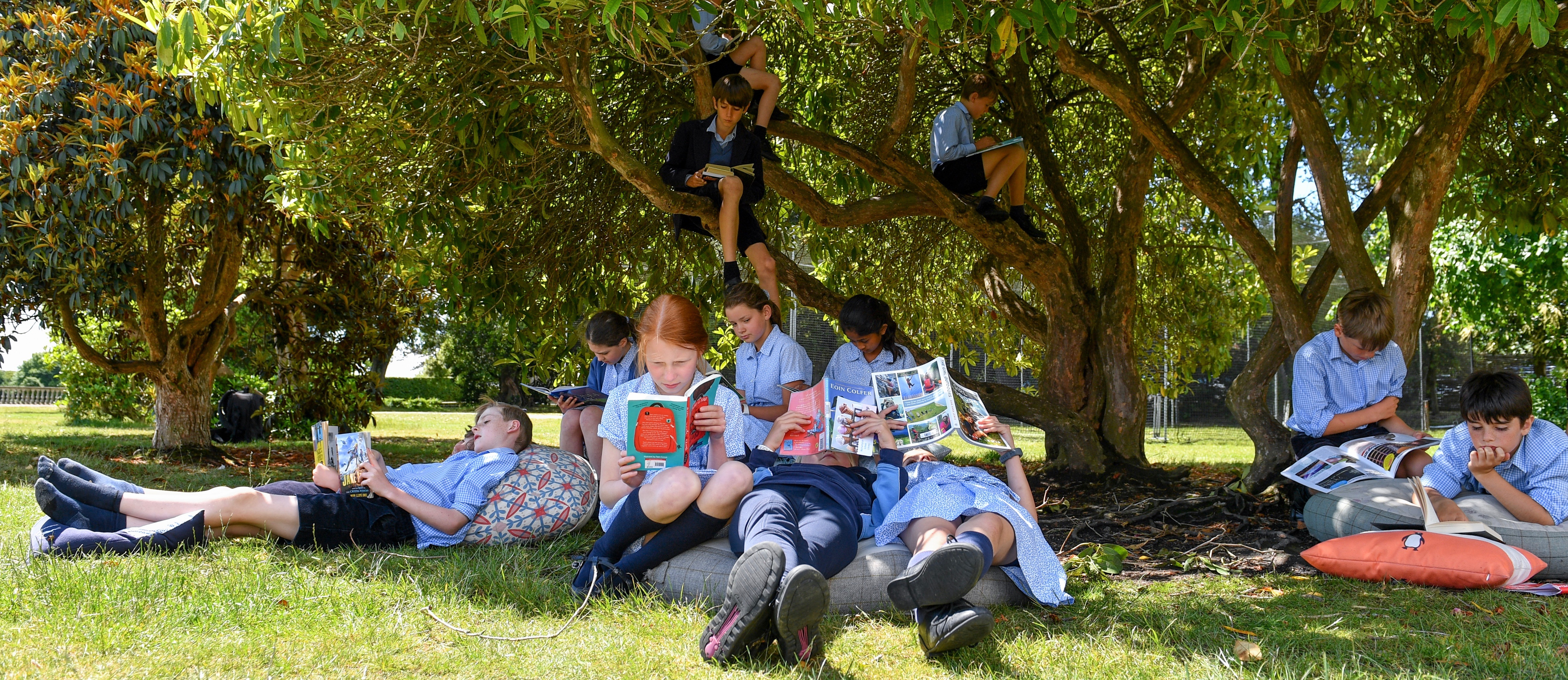 Reading under the tree