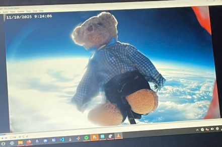 Bear In Space
