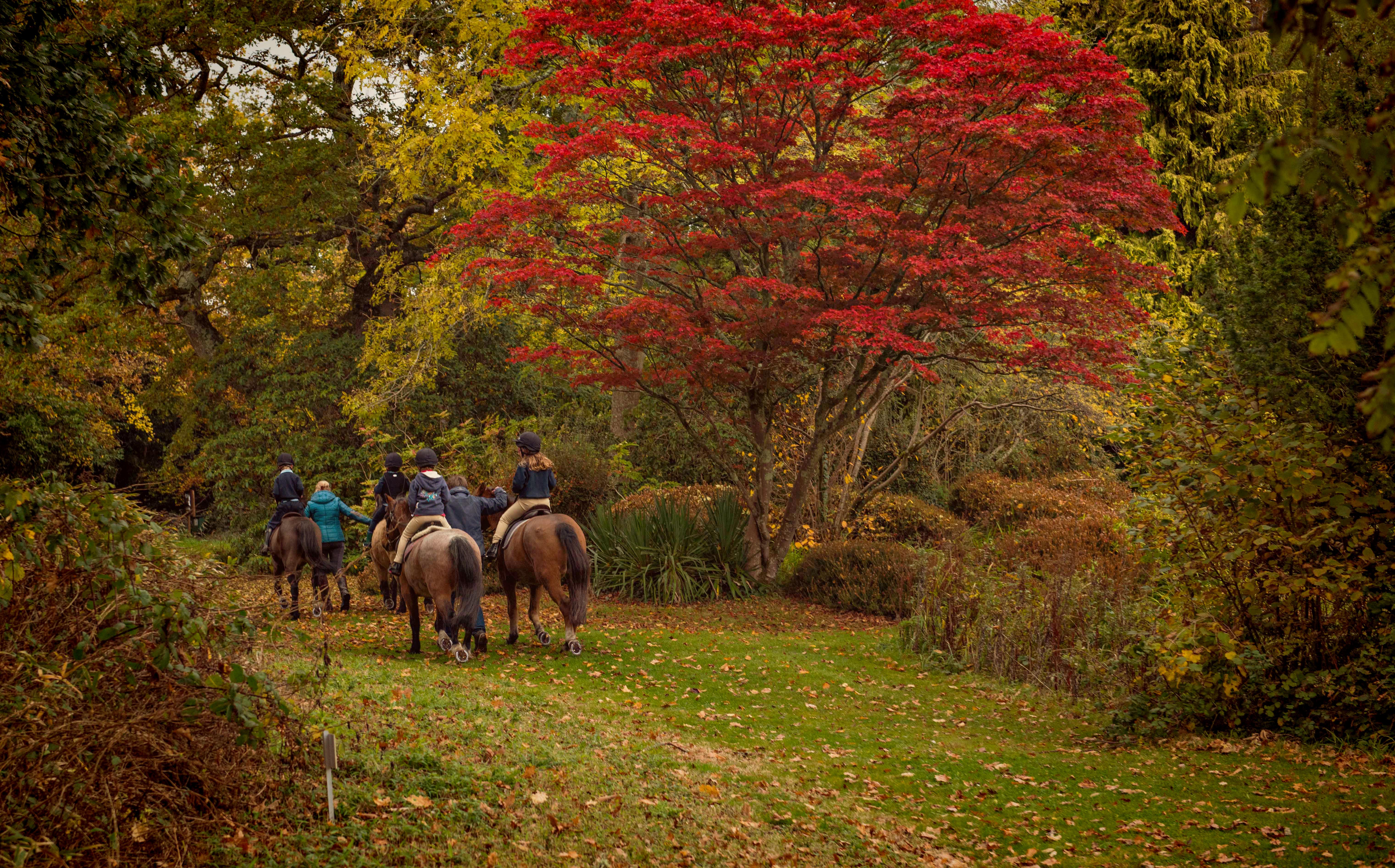 16 Nov Walhampton Academic 50 (1) (2)