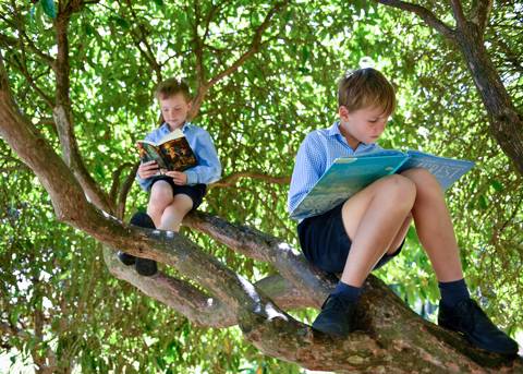 Reading in trees