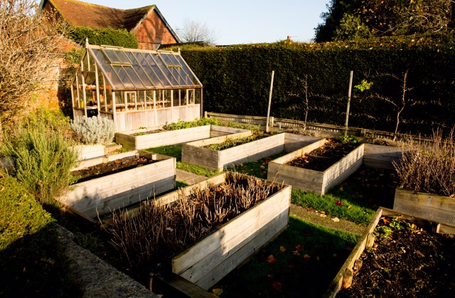 Kitchen Garden