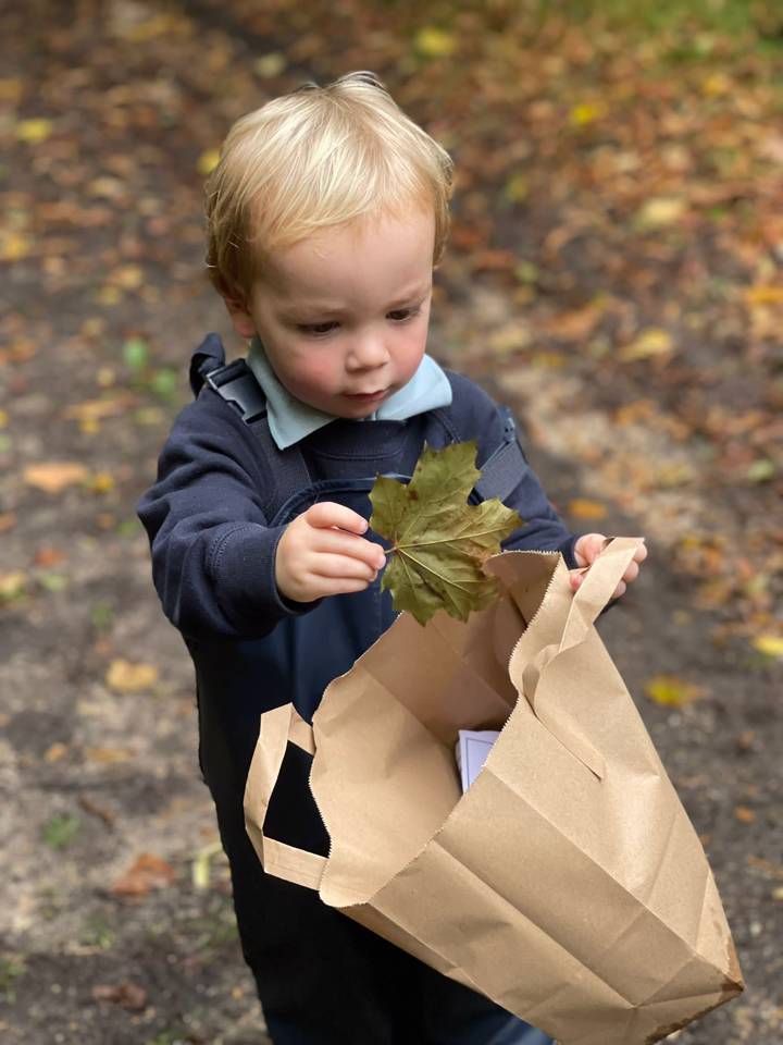 77F553a5 8E8d 452B 9013 Fcbd21af5975