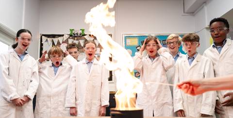 W Science Nov 24 37 (1)