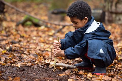 Forest school (1)