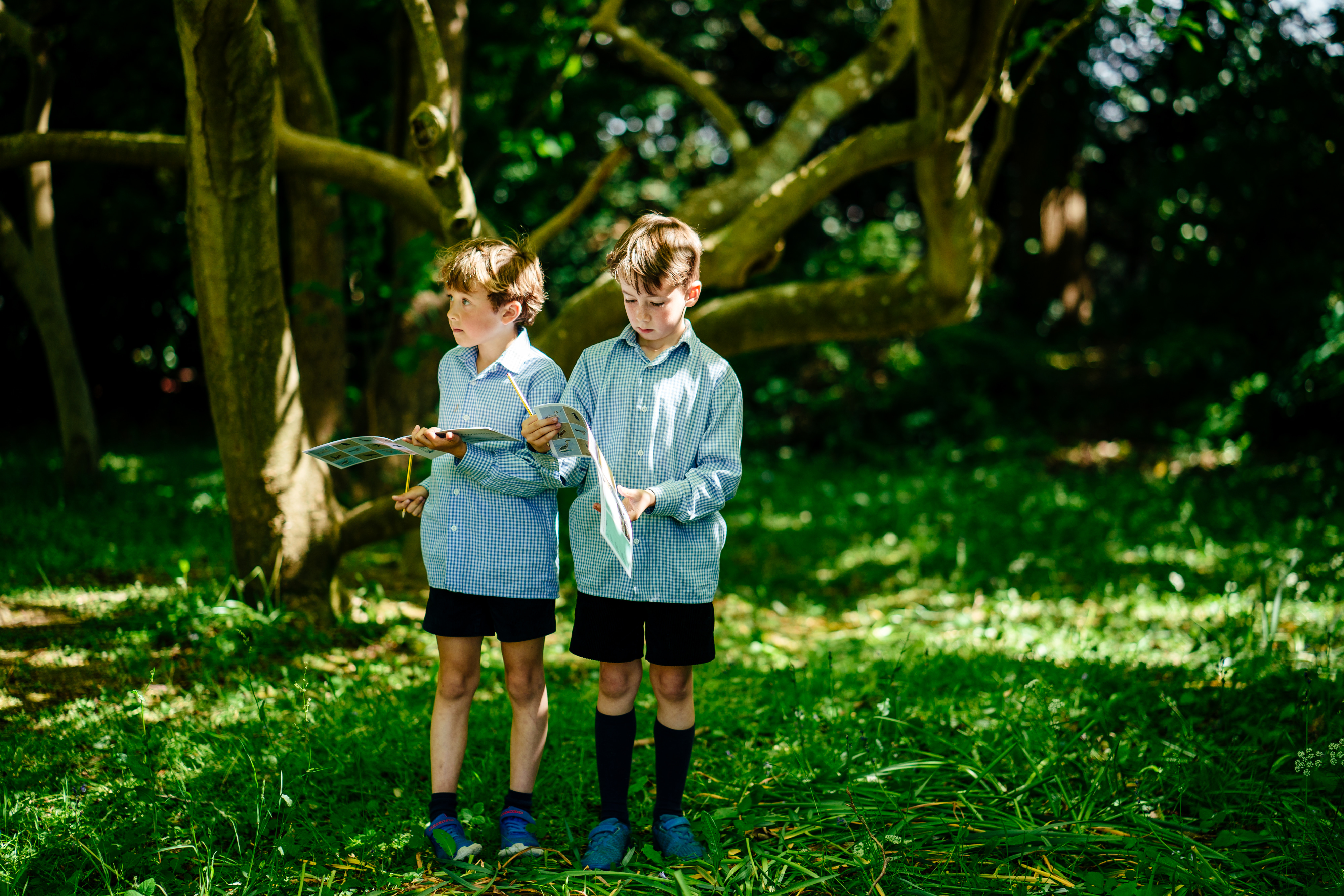 Wallhampton School 484